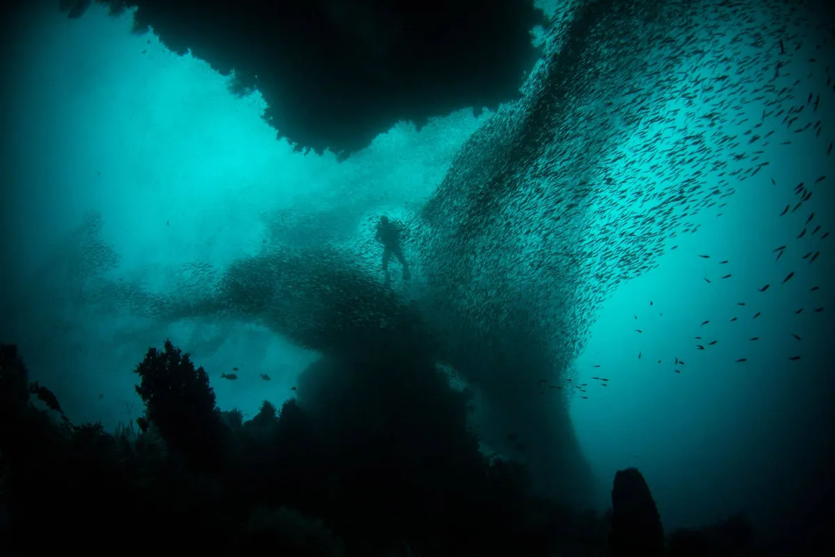 Previously Unknown Ecosystems