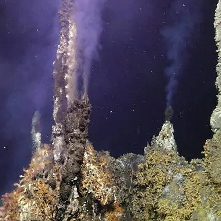 Deep-Sea Hydrothermal Vent Communities