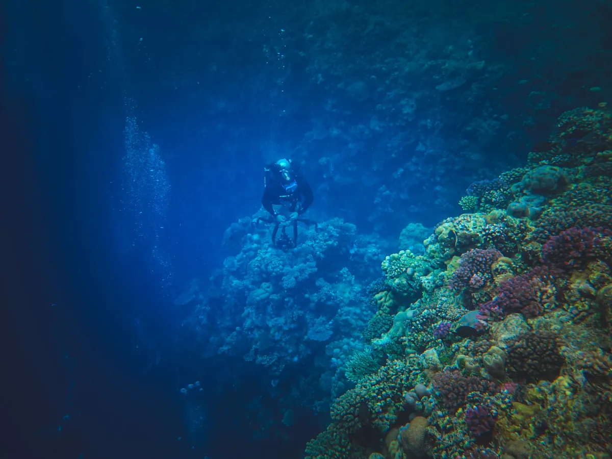 Diver exploring a deep-sea discovery